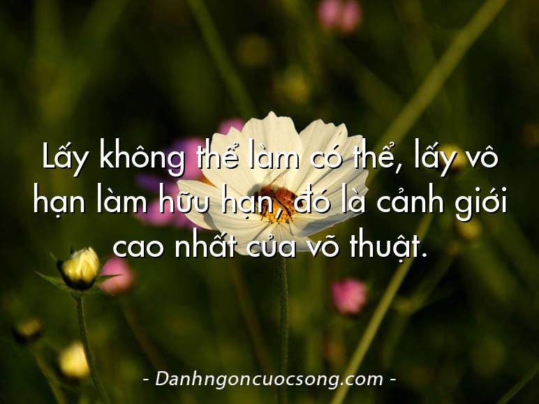 Lấy không thể làm có thể, lấy vô hạn làm hữu hạn, đó là cảnh giới cao nhất của võ thuật.