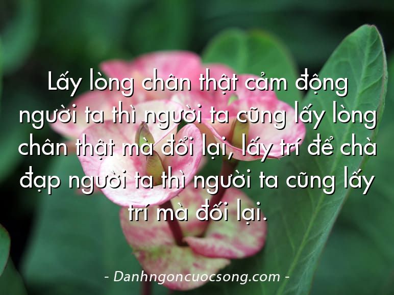 Lấy lòng chân thật cảm động người ta thì người ta cũng lấy lòng chân thật mà đổi lại, lấy trí để chà đạp người ta thì người ta cũng lấy trí mà đối lại.