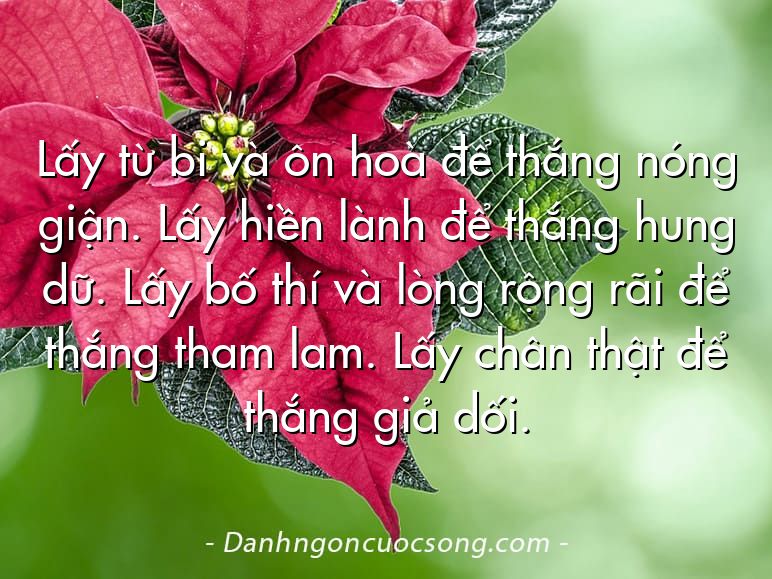 Lấy từ bi và ôn hoà để thắng nóng giận. Lấy hiền lành để thắng hung dữ. Lấy bố thí và lòng rộng rãi để thắng tham lam. Lấy chân thật để thắng giả dối.