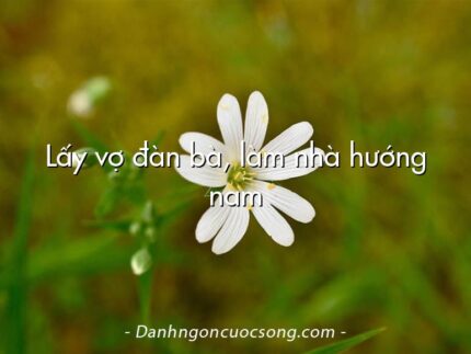 Lấy vợ đàn bà, làm nhà hướng nam