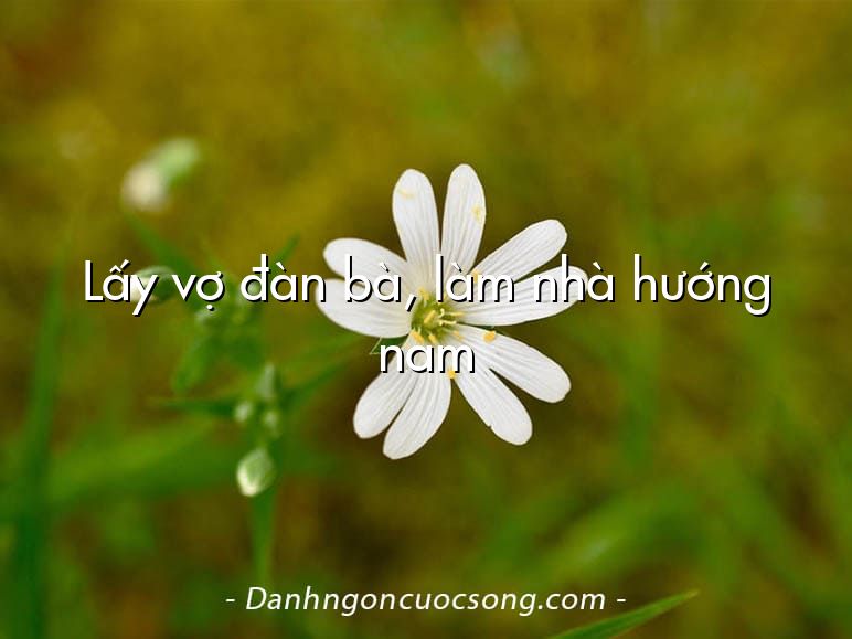 Lấy vợ đàn bà, làm nhà hướng nam