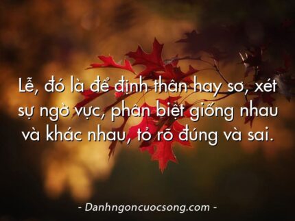 Lễ, đó là để định thân hay sơ, xét sự ngờ vực, phân biệt giống nhau và khác nhau, tỏ rõ đúng và sai.