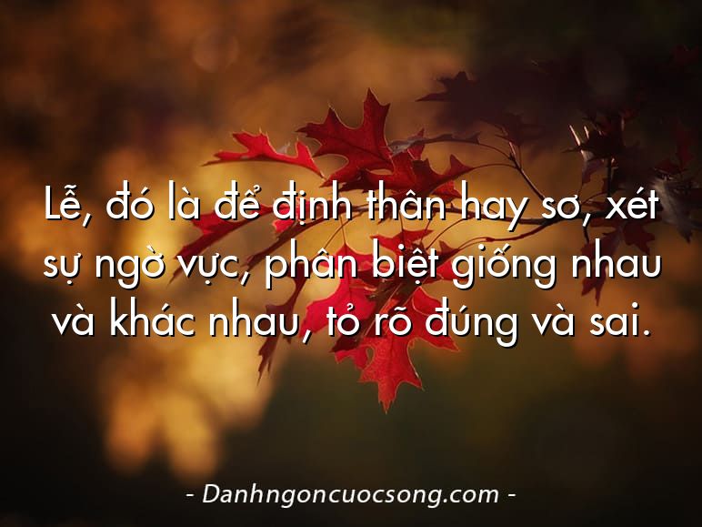 Lễ, đó là để định thân hay sơ, xét sự ngờ vực, phân biệt giống nhau và khác nhau, tỏ rõ đúng và sai.