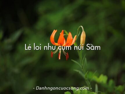 Lẻ loi như cụm núi Sầm