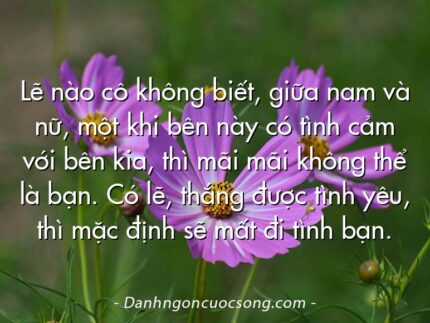 Lẽ nào cô không biết, giữa nam và nữ, một khi bên này có tình cảm với bên kia, thì mãi mãi không thể là bạn. Có lẽ, thắng được tình yêu, thì mặc định sẽ mất đi tình bạn.