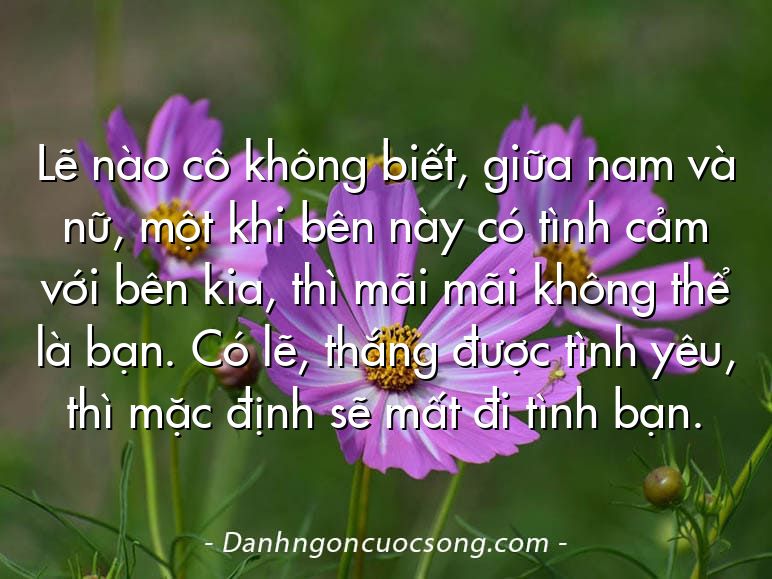 Lẽ nào cô không biết, giữa nam và nữ, một khi bên này có tình cảm với bên kia, thì mãi mãi không thể là bạn. Có lẽ, thắng được tình yêu, thì mặc định sẽ mất đi tình bạn.