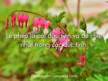 Lễ phép là cái đầu tiên và dễ chịu nhất trong các đức tính.