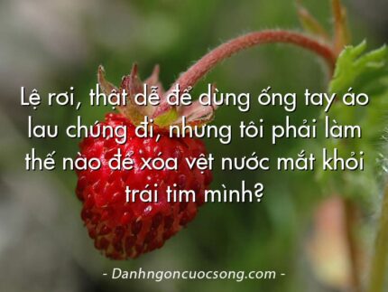 Lệ rơi, thật dễ để dùng ống tay áo lau chúng đi, nhưng tôi phải làm thế nào để xóa vệt nước mắt khỏi trái tim mình?