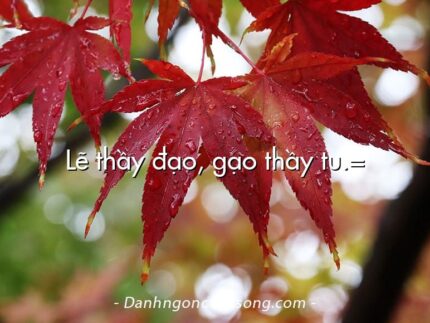 Lẽ thầy đạo, gạo thầy tu.=