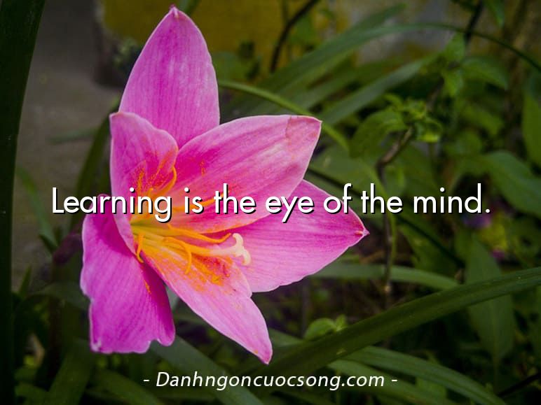 Learning is the eye of the mind.