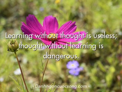 Learning without thought is useless; thought without learning is dangerous.