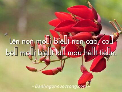 Lên non mới biết non cao, có bồ mới biết là mau hết tiền.