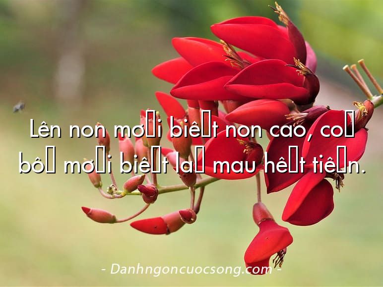 Lên non mới biết non cao, có bồ mới biết là mau hết tiền.