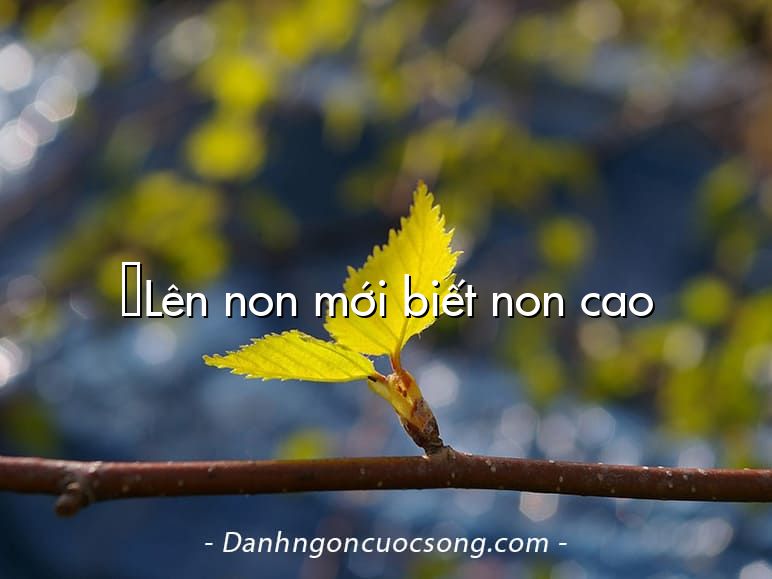 Lên non mới biết non cao