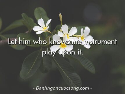 Let him who knows the instrument play upon it.