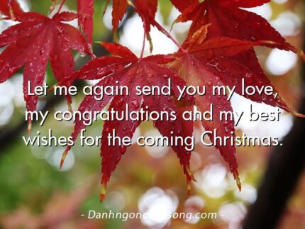 Let me again send you my love, my congratulations and my best wishes for the coming Christmas.