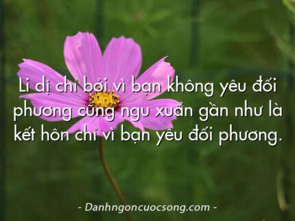 Li dị chỉ bởi vì bạn không yêu đối phương cũng ngu xuẩn gần như là kết hôn chỉ vì bạn yêu đối phương.