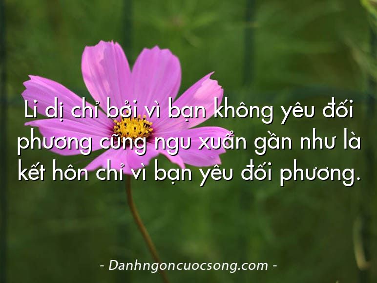 Li dị chỉ bởi vì bạn không yêu đối phương cũng ngu xuẩn gần như là kết hôn chỉ vì bạn yêu đối phương.