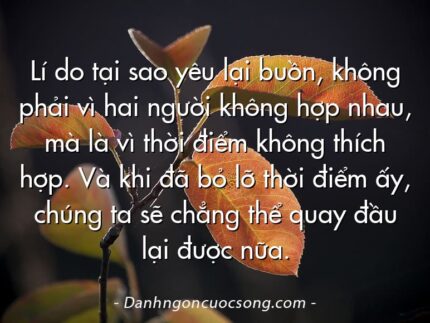 Lí do tại sao yêu lại buồn, không phải vì hai người không hợp nhau, mà là vì thời điểm không thích hợp. Và khi đã bỏ lỡ thời điểm ấy, chúng ta sẽ chẳng thể quay đầu lại được nữa.