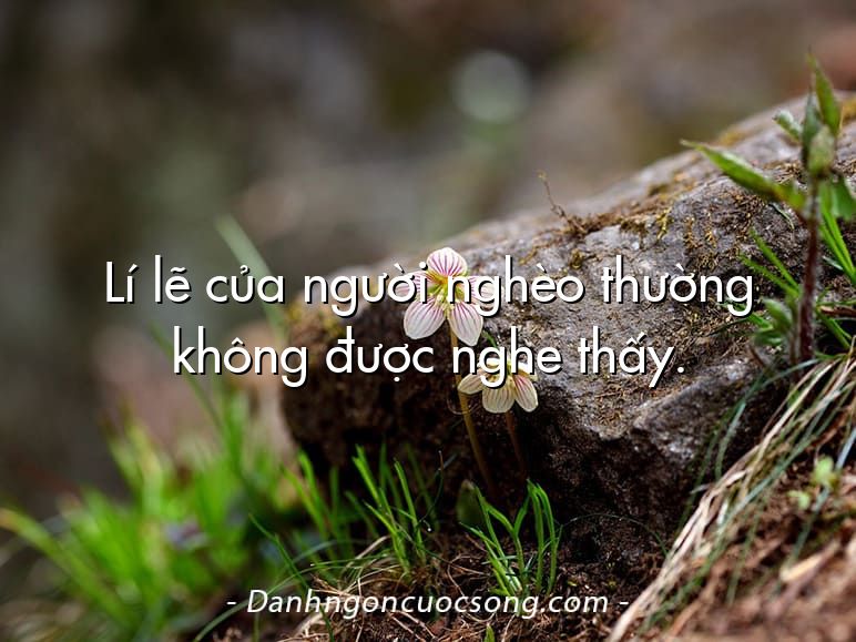 Lí lẽ của người nghèo thường không được nghe thấy.