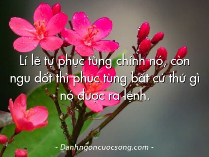 Lí lẽ tự phục tùng chính nó, còn ngu dốt thì phục tùng bất cứ thứ gì nó được ra lệnh.