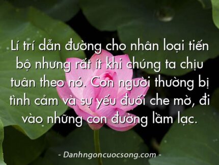 Lí trí dẫn đường cho nhân loại tiến bộ nhưng rất ít khi chúng ta chịu tuân theo nó. Con người thường bị tình cảm và sự yếu đuối che mờ, đi vào những con đường lầm lạc.