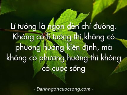 Lí tưởng là ngọn đèn chỉ đường. Không có lí tưởng thì không có phương hướng kiên định, mà không có phương hướng thì không có cuộc sống