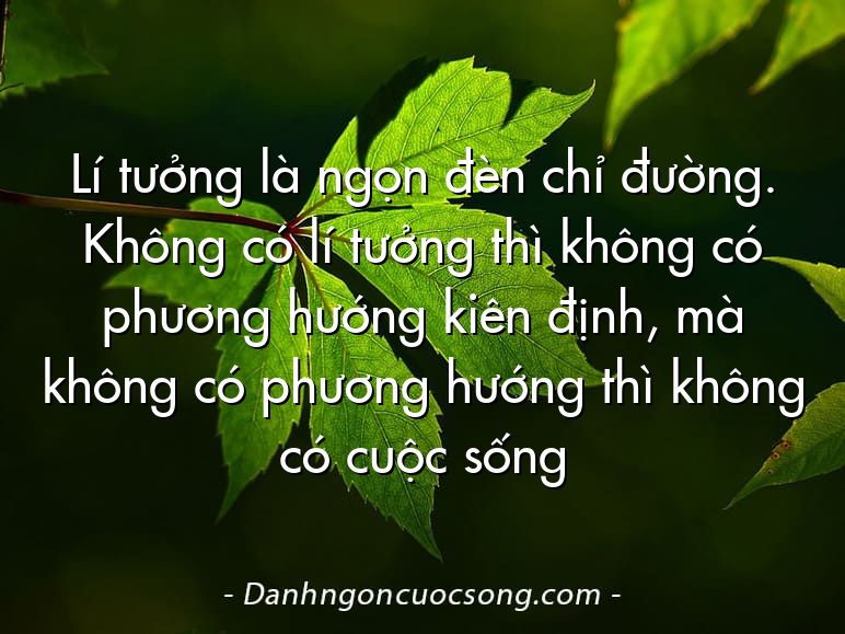 Lí tưởng là ngọn đèn chỉ đường. Không có lí tưởng thì không có phương hướng kiên định, mà không có phương hướng thì không có cuộc sống