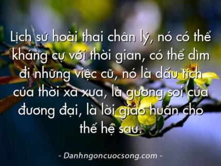 Lịch sử hoài thai chân lý, nó có thể kháng cự với thời gian, có thể dìm đi những việc cũ, nó là dấu tích của thời xa xưa, là gương soi của đương đại, là lời giáo huấn cho thế hệ sau.