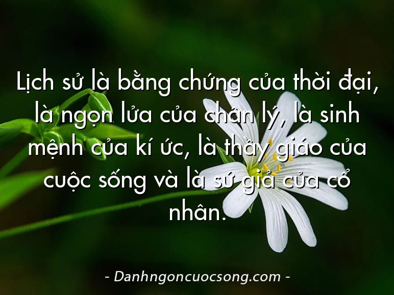 Lịch sử là bằng chứng của thời đại, là ngọn lửa của chân lý, là sinh mệnh của kí ức, là thầy giáo của cuộc sống và là sứ giả của cổ nhân.