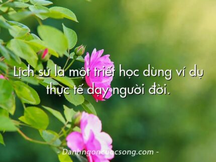 Lịch sử là một triết học dùng ví dụ thực tế dạy người đời.