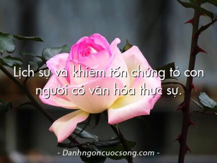 Lịch sự và khiêm tốn chứng tỏ con người có văn hóa thực sự.