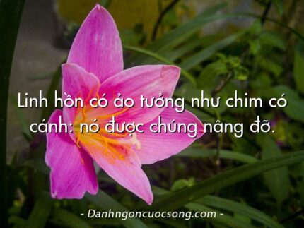 Linh hồn có ảo tưởng như chim có cánh: nó được chúng nâng đỡ.