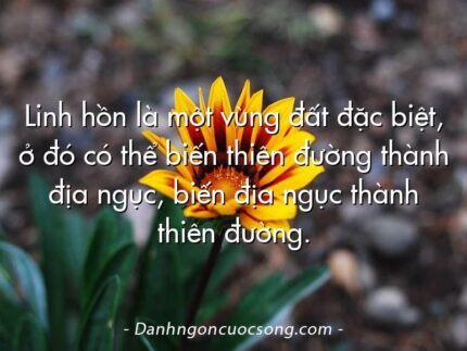 Linh hồn là một vùng đất đặc biệt, ở đó có thể biến thiên đường thành địa ngục, biến địa ngục thành thiên đường.