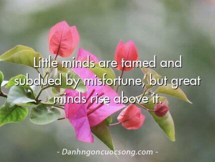 Little minds are tamed and subdued by misfortune, but great minds rise above it.