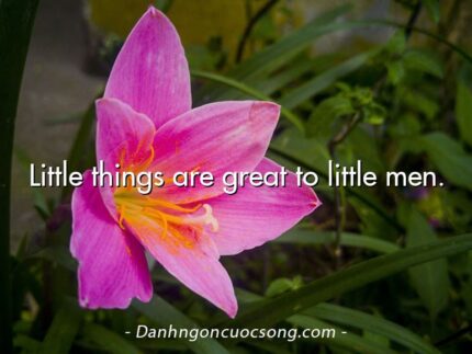 Little things are great to little men.