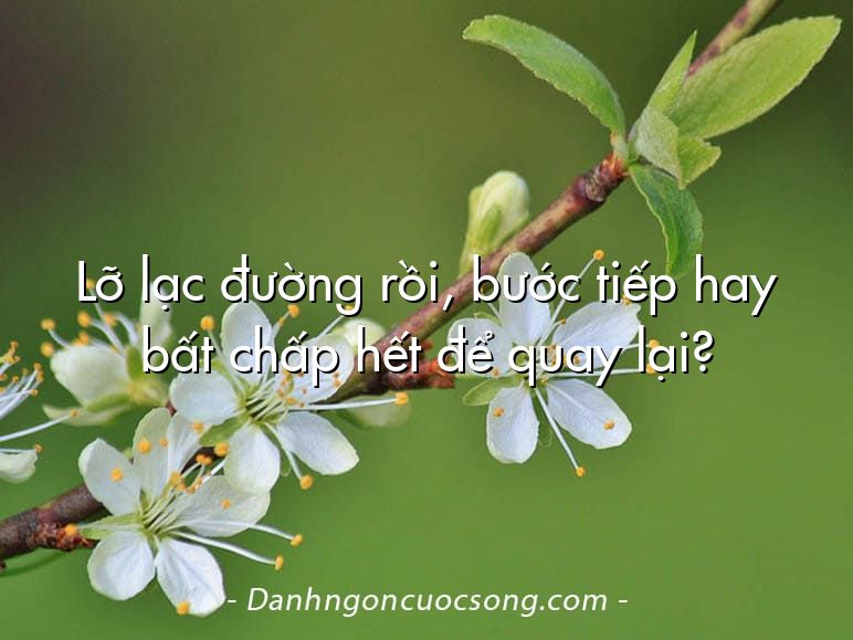 Lỡ lạc đường rồi, bước tiếp hay bất chấp hết để quay lại?