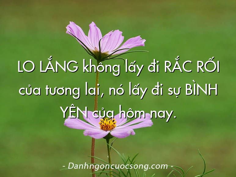LO LẮNG không lấy đi RẮC RỐI của tương lai, nó lấy đi sự BÌNH YÊN của hôm nay.