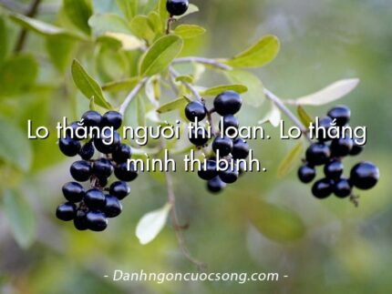 Lo thắng người thì loạn. Lo thắng mình thì bình.