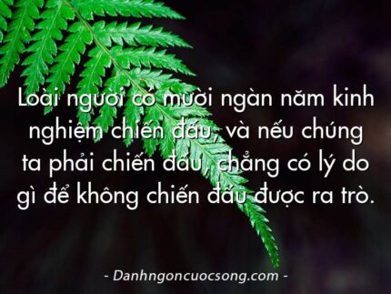 Loài người có mười ngàn năm kinh nghiệm chiến đấu, và nếu chúng ta phải chiến đấu, chẳng có lý do gì để không chiến đấu được ra trò.