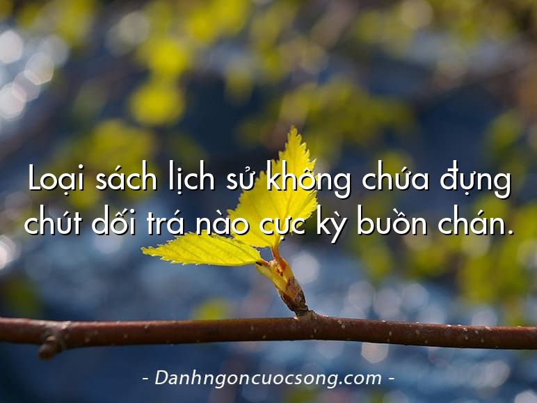 Loại sách lịch sử không chứa đựng chút dối trá nào cực kỳ buồn chán.