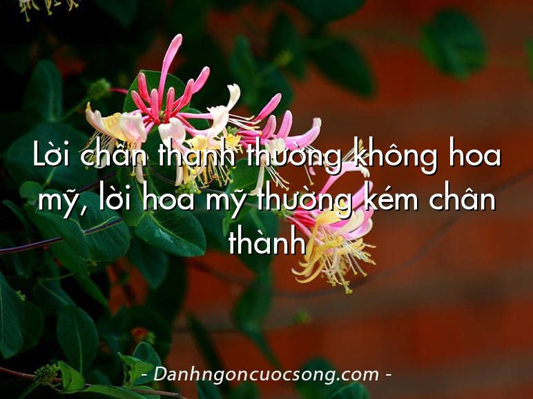 Lời chân thành thường không hoa mỹ, lời hoa mỹ thường kém chân thành