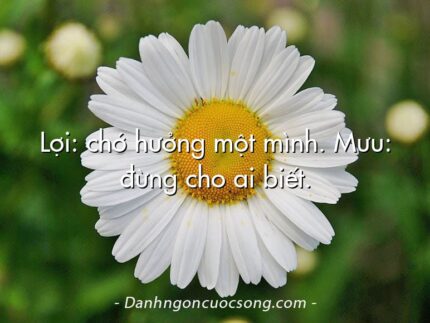 Lợi: chớ hưởng một mình. Mưu: đừng cho ai biết.