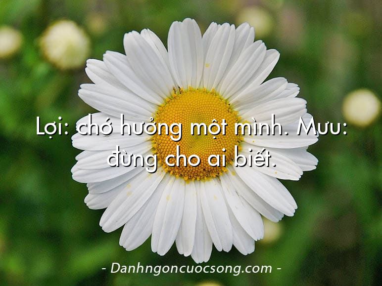 Lợi: chớ hưởng một mình. Mưu: đừng cho ai biết.