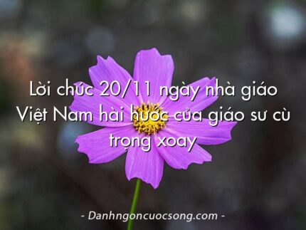 Lời chúc 20/11 ngày nhà giáo Việt Nam hài hước của giáo sư cù trọng xoay