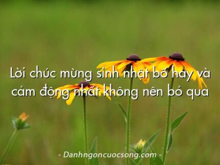 Lời chúc mừng sinh nhật bố hay và cảm động nhất không nên bỏ qua