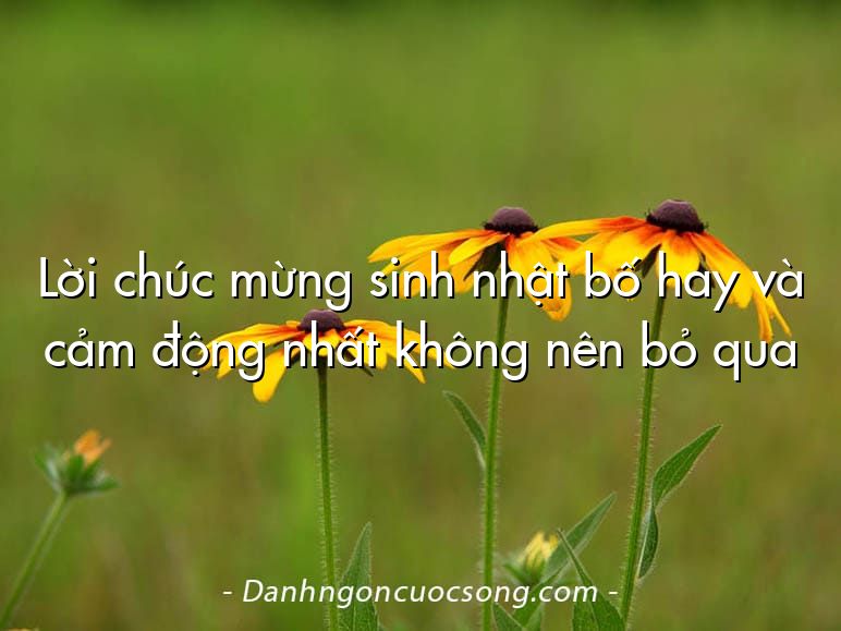 Lời chúc mừng sinh nhật bố hay và cảm động nhất không nên bỏ qua