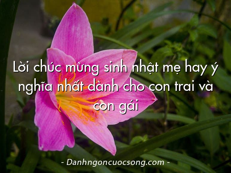 Lời chúc mừng sinh nhật mẹ hay ý nghĩa nhất dành cho con trai và con gái