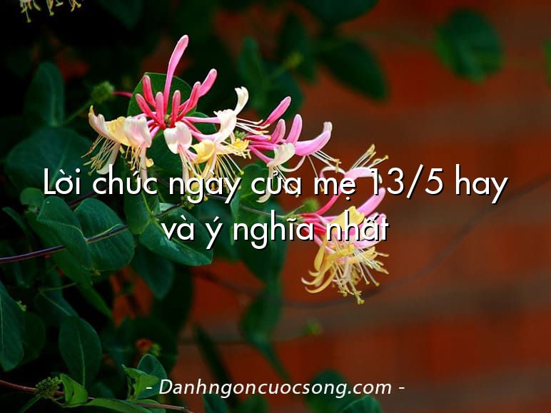 Lời chúc ngày của mẹ 13/5 hay và ý nghĩa nhất