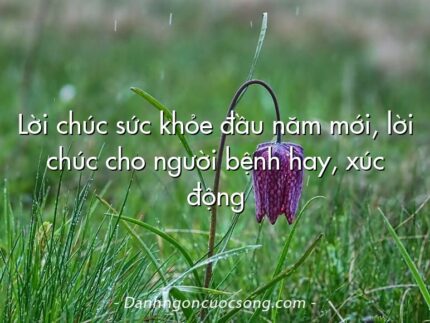 Lời chúc sức khỏe đầu năm mới, lời chúc cho người bệnh hay, xúc động